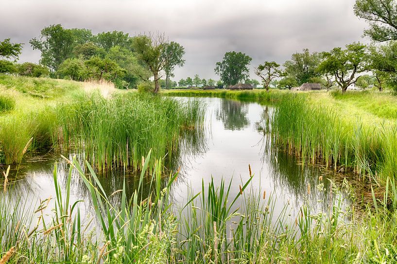 New Dutch Waterline by Mark Bolijn