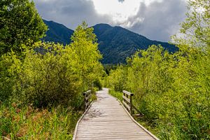 Wandeling rond de Wildsee van Oliver Hlavaty