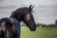 Hiske