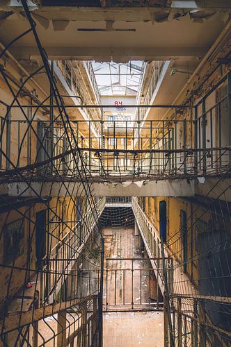 Jailhouse Rock-2 von Frans Nijland