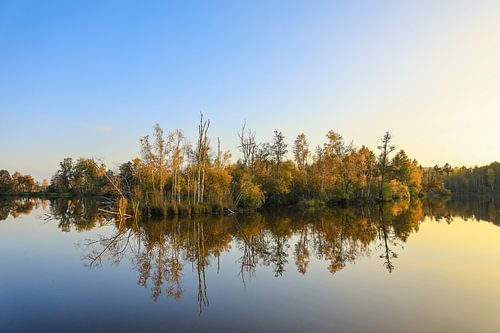 Nillsee merenlandschap in de Pfrunger-Burgweiler Ried bij Wilhelmsdorf