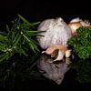 Smaakmakers van Marjan Noteboom