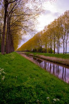 Spring colors along the water in Sint-Laureins (Belgium) - Vertical