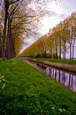 Voorjaarskleuren langs het water in Sint-Laureins (België) - Verticaal van FotoGraaG Hanneke thumbnail