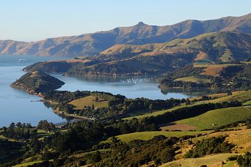 Ōnawe Peninsula van Bert Lubbers