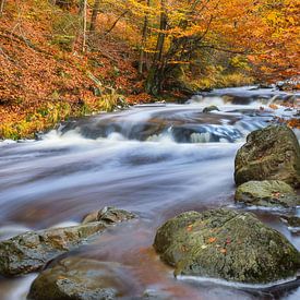 La Hoëgne, Ardennes by Martijn Schruijer