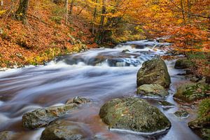 La Hoëgne, Ardennen