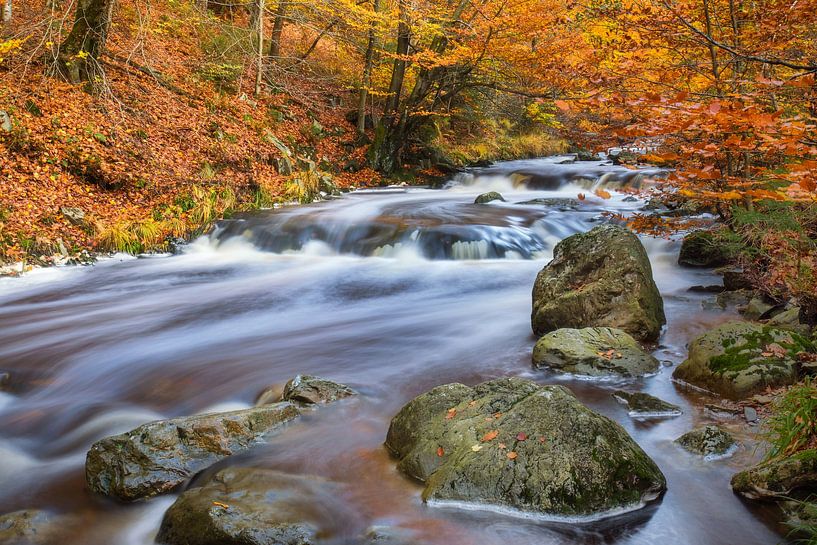 La Hoëgne, Ardennen von Martijn Schruijer
