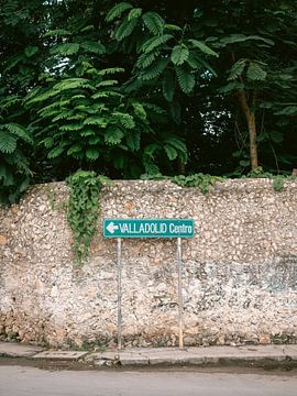 Mexique | Panneau de signalisation du centre de Valldolid au parc | Photographie de voyage colorée sur Raisa Zwart