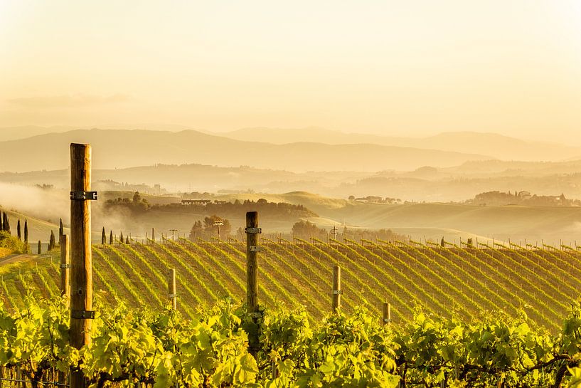 Tuscany Awake by Tony Buijse