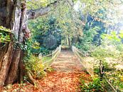 Bruggetje in goudkleurig herfstpark van Daniël van Leeuwen thumbnail