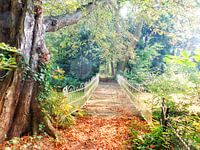 Bruggetje in goudkleurig herfstpark