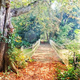 Bruggetje in goudkleurig herfstpark van Daniël van Leeuwen