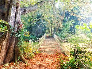 Bruggetje in goudkleurig herfstpark von Daniël van Leeuwen