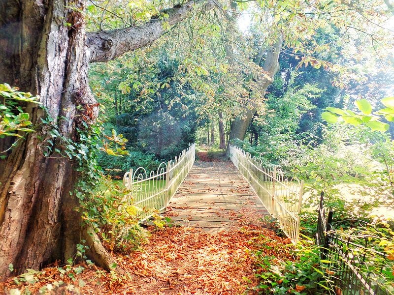 Bruggetje in goudkleurig herfstpark van Daniël van Leeuwen