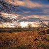 Heidelandschaft im Sonnenuntergang von Martina Weidner