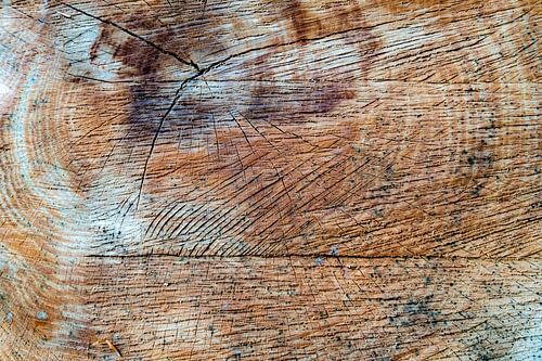 Boomsnoei en abstracte structuur