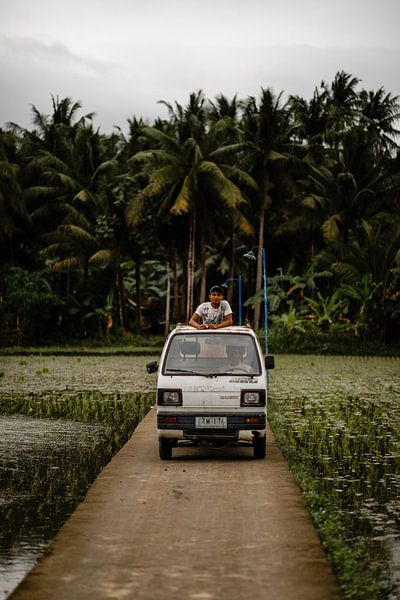 Man in car between rice fields in Philippines by Yvette Baur
