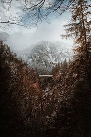 Alpsee | Winter in the Alps by Nanda van der Eijk