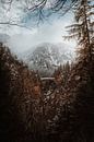 Alpsee | Winter in den Alpen von Nanda van der Eijk Miniaturansicht