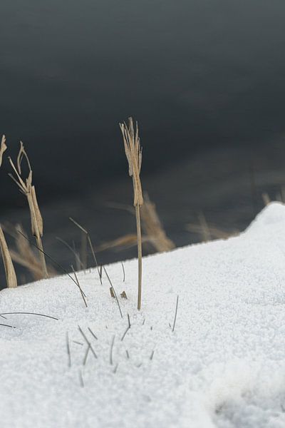Minimalist Winter Wonderland by HappyTravelSpots