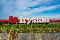 I love Fryslan by Goffe Jensma thumbnail