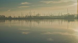 Morgennebel auf dem Veere-See mit Blick auf die Häfen von Wolphaartsdijk