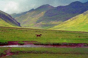 Spaanse Pyreneeën van Ronald Wilfred Jansen