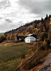 Autumn colours surrounding the houses in Norway.
