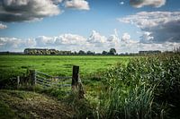 Hollandse lucht boven Zuid-Hollands polderlandschap
