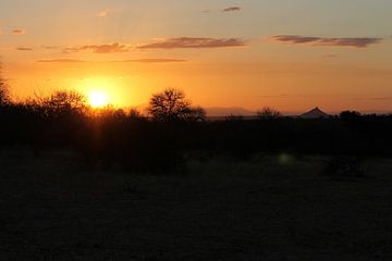 Südafrikanischer Sonnenuntergang von ByMadelon