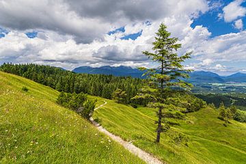 Blick vom Hohen Kranzberg auf das Estergebirge bei Mittenwald
