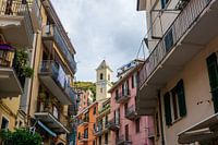 Cityscape of Manarola