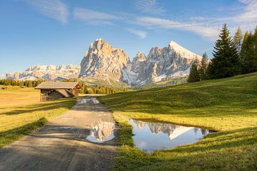 On the Alpe di Siusi in South Tyrol by Michael Valjak