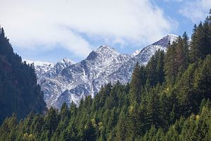 Forest and mountains on the Wilde Wasser Weg in autumn