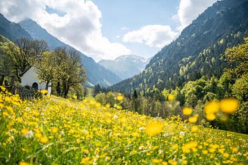 Wunderschöne Marienkapelle in Gerstruben am Trettachtal im Frühling mit schönen Blumen von Leo Schindzielorz