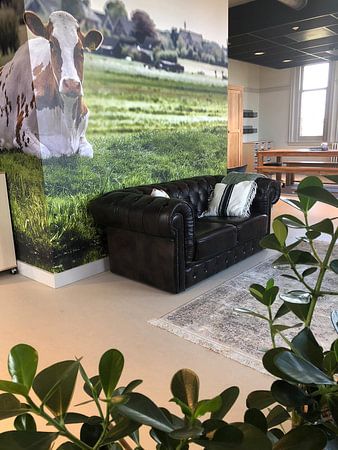 Boskoop the Netherlands