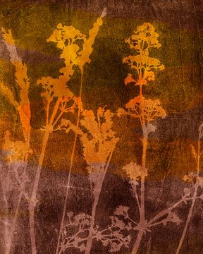 Modern abstract botanical. Summer flowers in yellow  and warm brown by Dina Dankers