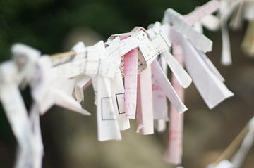 Line with Omikuji by Sacha Ooms