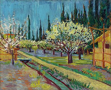 Von Zypressen gesäumter Obstgarten, Vincent van Gogh - 1888