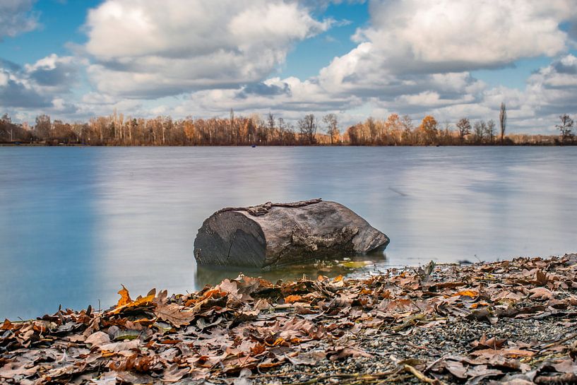 The tree trunk by Photoart-Naegele