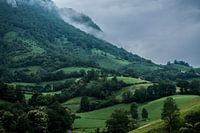 Grass and roads trough the mountains