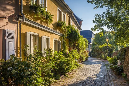 Morgenstimmung in der Altstadt von Höchst