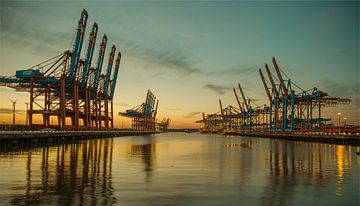 Evening calm on Burchardkai - Hamburg's silent power by Sabine Wagner