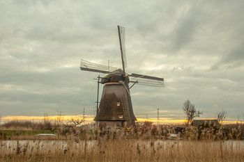 Kinderdijk