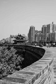 Xi'an sur Celine Dhont