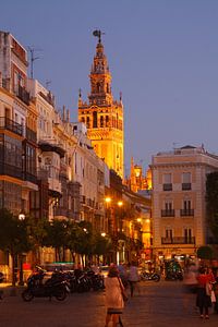Séville : Vue de la Plaza de San Francisco à la Giralda