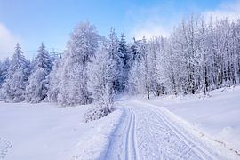 Langlaufrunde bei bestem Kaiserwetter im verschneiten Thüringer Wald bei Floh-Seligenthal - Thüringen - Deutschland von Oliver Hlavaty