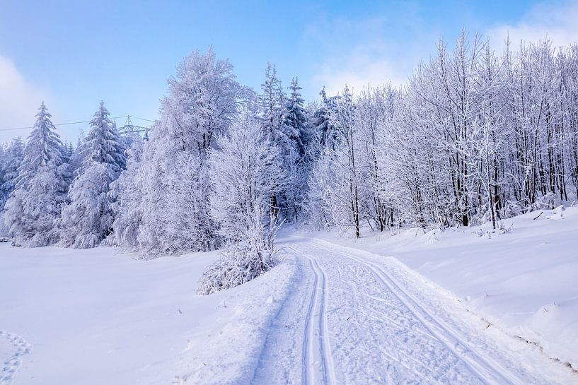 Cross-country skiing in the snowy Thuringian Forest near Floh-Seligenthal - Thuringia - Germany by Oliver Hlavaty