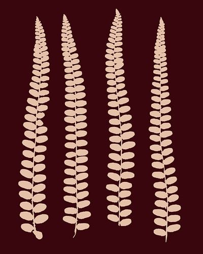 Varen Bladeren | Contrast | Illustratie | Bruin